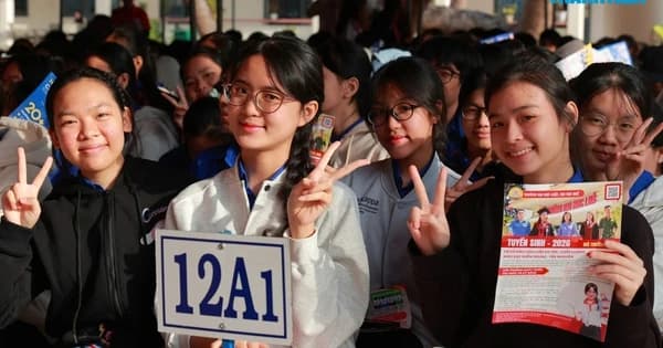 UBND Gia Lai phê duyệt dự án Trường phổ thông cao đẳng Long Vân với vốn 181 tỉ đồng