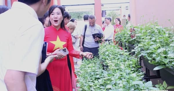 Giảng viên Nhật Bản thăm vườn rau học sinh TP.HCM, khẳng định giá trị giáo dục STEM/STEAM