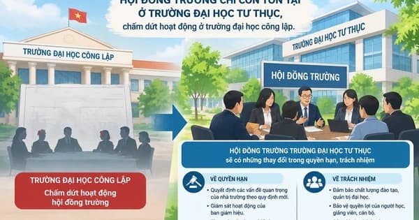 Vai trò mới của Hội đồng trường đại học tư thục theo quy định hiện hành